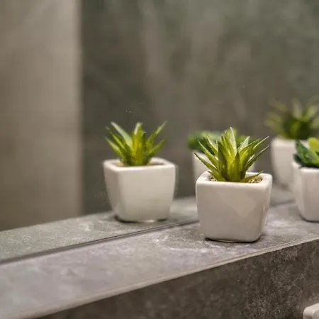 Spacious And Cozy-city Center-snn65\59 * Varsavia